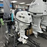 2025 Yamaha F25SWTHC2 White Tiller 15″ Shaft Outboard Motor - Image 2
