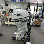 2025 Yamaha F25SWTHC2 White Tiller 15″ Shaft Outboard Motor - Image 4