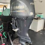 Used 2019 Yamaha F200 200HP – 400 Hours only